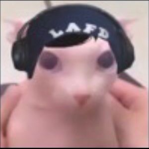 Meet your Posher, Armando